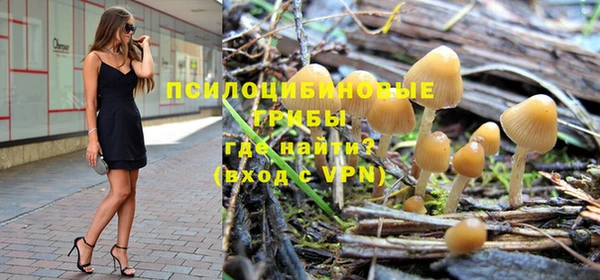 ГАЛЛЮЦИНОГЕННЫЕ ГРИБЫ Алексин