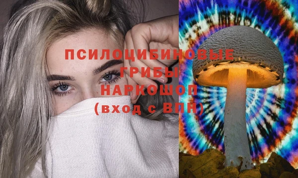 гидропоника Алзамай