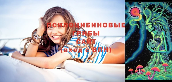 гидропоника Алзамай